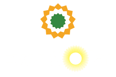 Ever Solar